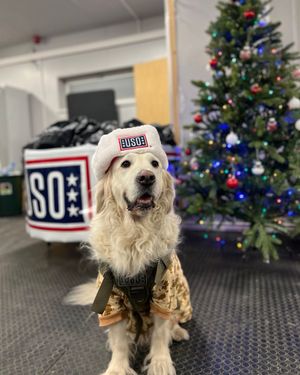 Image post by @theuso on Instagram