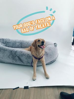 Video post by @livelikeroofoundation on TikTok