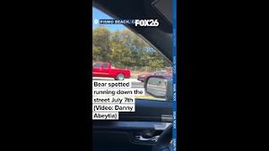 Video post by @kmphfox26 on YouTube
