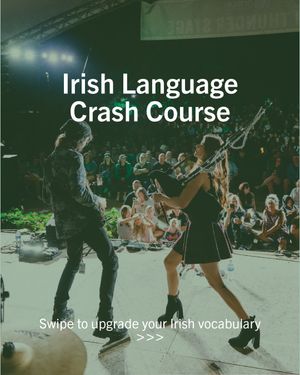 Image post by @dublinirishfest on Instagram