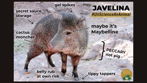 Image post by @CenterForBioDiv on Twitter