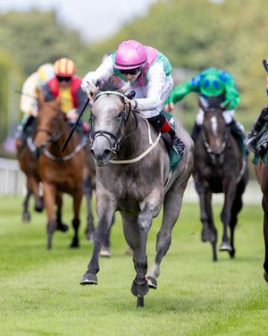 Image post by @juddmonte on Instagram