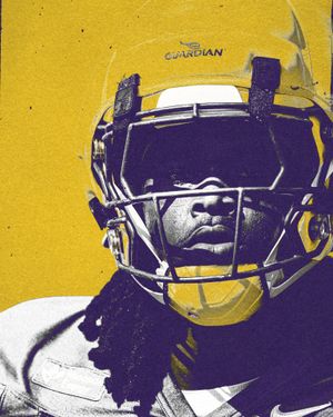 Image post by @lsufootball on Instagram