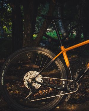 Image post by @vitusbikes on Instagram