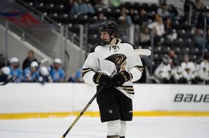 Image post by @luhockey_ncaa on Instagram