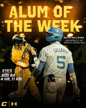 Image post by @thecanesbb on Instagram