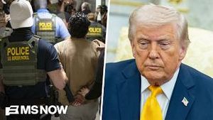 Video post by @msnbc on YouTube