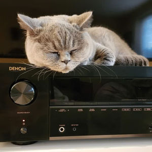 Image post by @denonofficial on Instagram