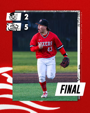 Image post by @goboxers on Instagram