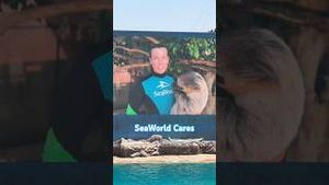 Video post by @cowmissing on YouTube