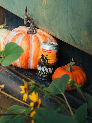 Image post by @greatdividebrew on Instagram