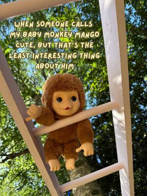 Image post by @moosetoys on Instagram