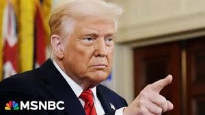 Video post by @msnbc on YouTube