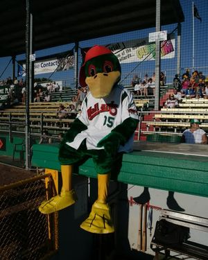 Image post by @madison_mallards on Instagram