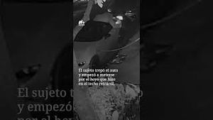 Video post by @nmasunivision on YouTube