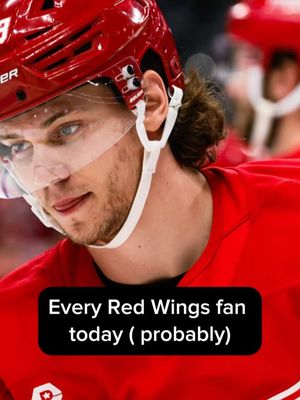 Image post by @redwingscoverage on Instagram