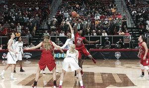 Image post by @MW_WBB on Twitter