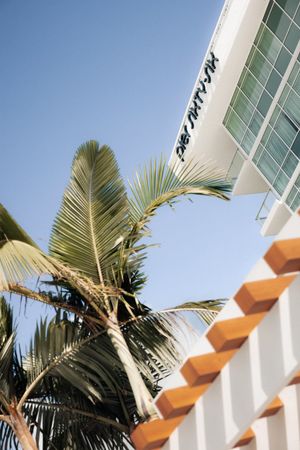 Video post by @AvondaleTravel on Facebook