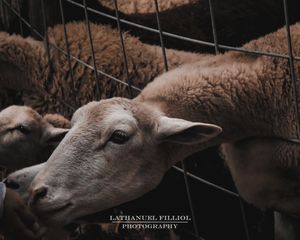 Image post by @lathanuelf_photos on Instagram