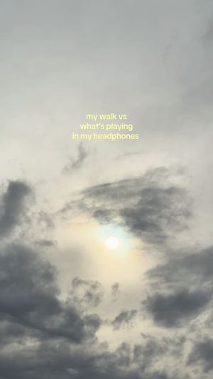Video post by @lexy.meyers on TikTok