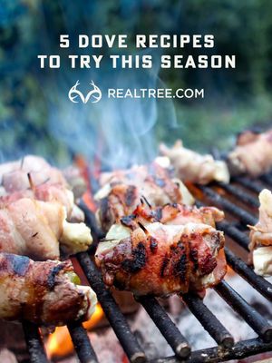 Image post by @realtreeoutdoors on Instagram