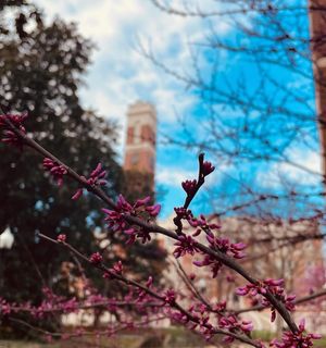 Image post by @vanderbiltu on Instagram