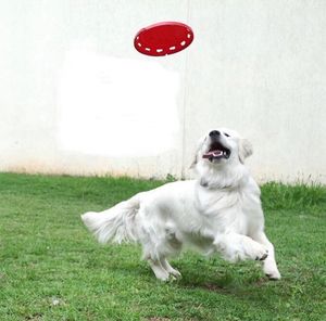 Image post by @mikethewhitegolden on Instagram