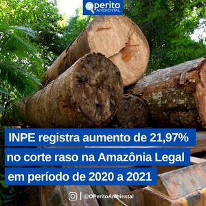 Image post by @operitoambiental on Instagram