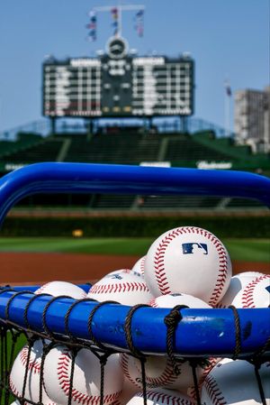 Image post by @cachorros on Twitter