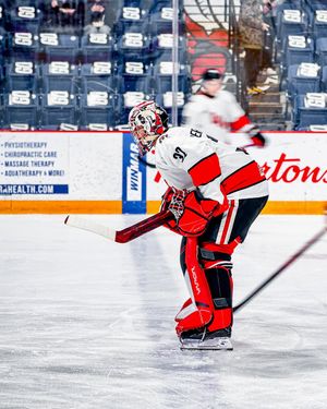 Image post by @ohlicedogs on Instagram