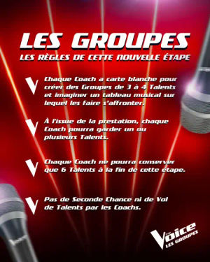 Image post by @thevoice_tf1 on TikTok