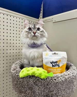 Image post by @petsmart on Instagram