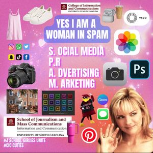 Video post by @southcarolinachicks on TikTok