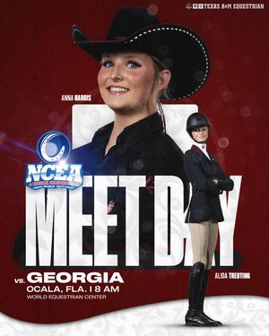 Image post by @aggieequestrian on Instagram