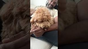 Video post by @tedflixnchill on YouTube
