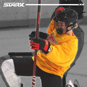 Image post by @starkhockey on Instagram