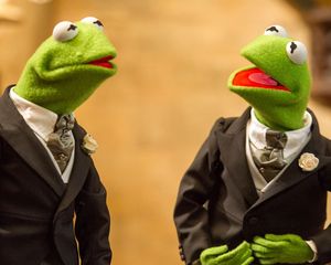 Image post by @kermitthefrog on Instagram