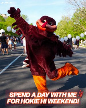 Image post by @hokiesports on Instagram