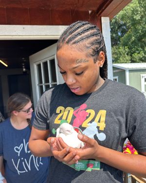 Image post by @troytrojanswbb on Instagram