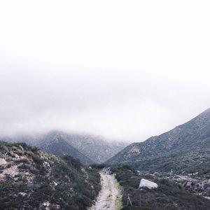 Image post by @collectivelyinc on Instagram