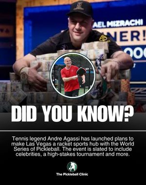 Image post by @thepickleballclinic on Instagram