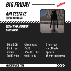 Image post by @Xendurance on Twitter/X