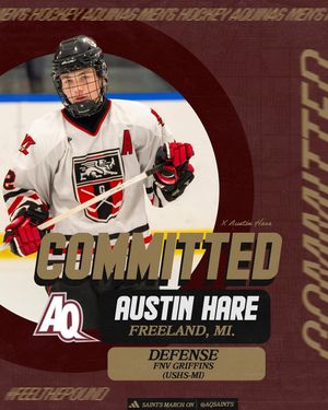 Image post by @aquinashockeycommitments on Instagram