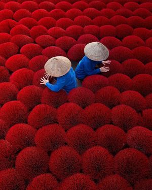 Image post by @travelgardi on Instagram