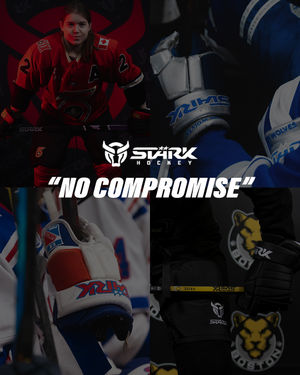 Image post by @starkhockey on Instagram