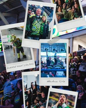 Image post by @fl_everblades on Instagram