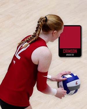 Image post by @wsucougarvb on Instagram