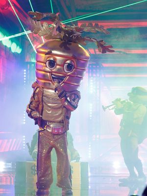 Image post by @maskedsingerfox on Instagram