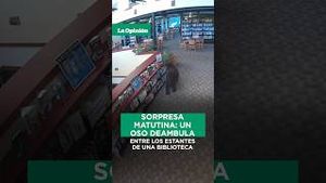 Video post by @laopinionla on YouTube