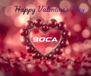 Image post by @bocabearings on Instagram